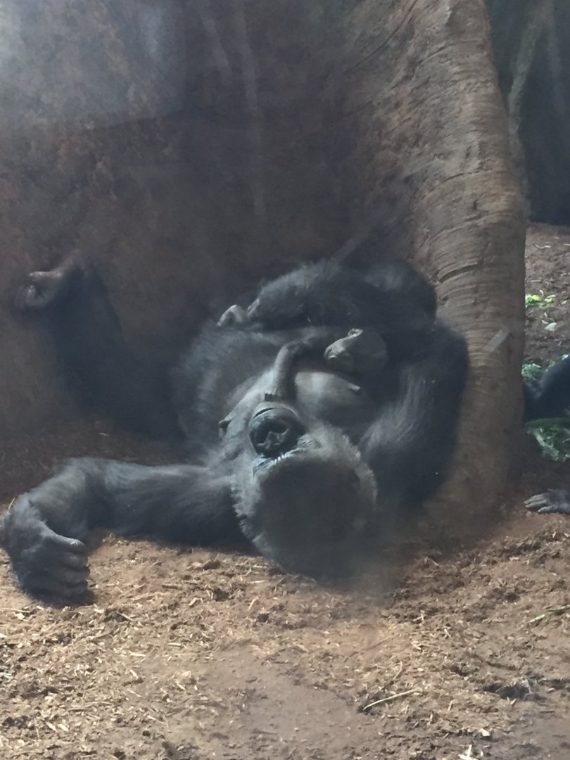Hours-Old Charlie with Ngozi