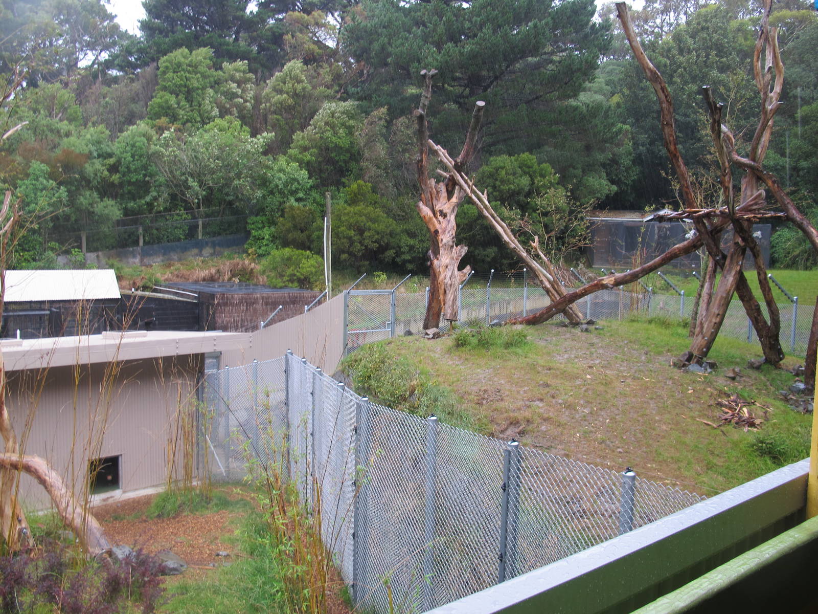 House and Secondary Sun Bear Exhibit - Wellington Zoo 2013