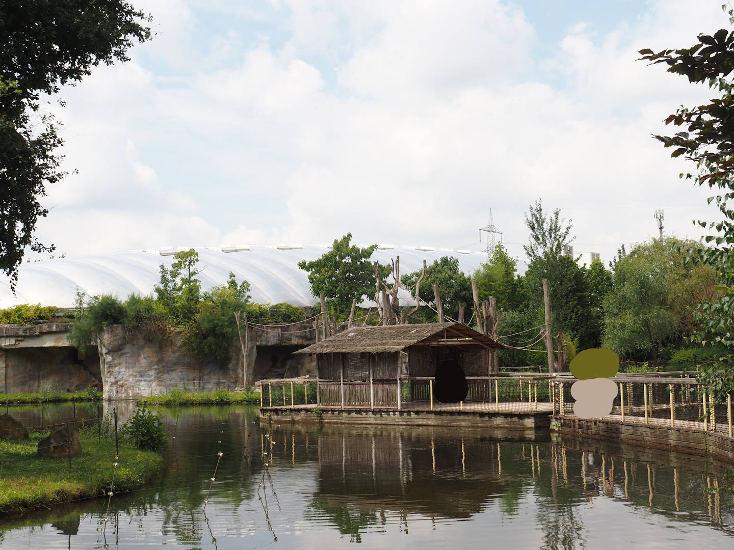 'House boat' - Sumatran orangutan and Hanuman langur viewing area, 2024-08-05
