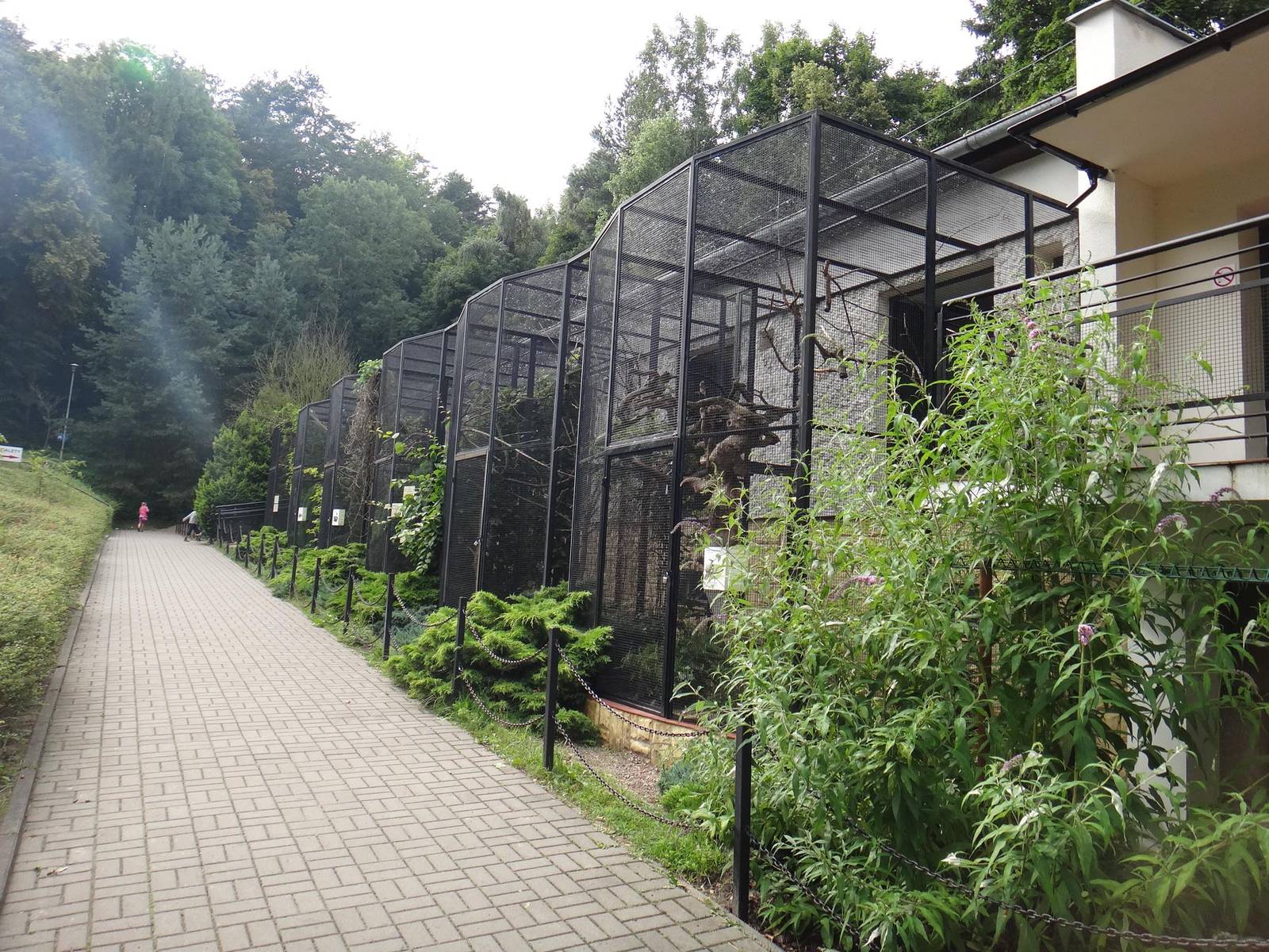 House for birds and reptiles