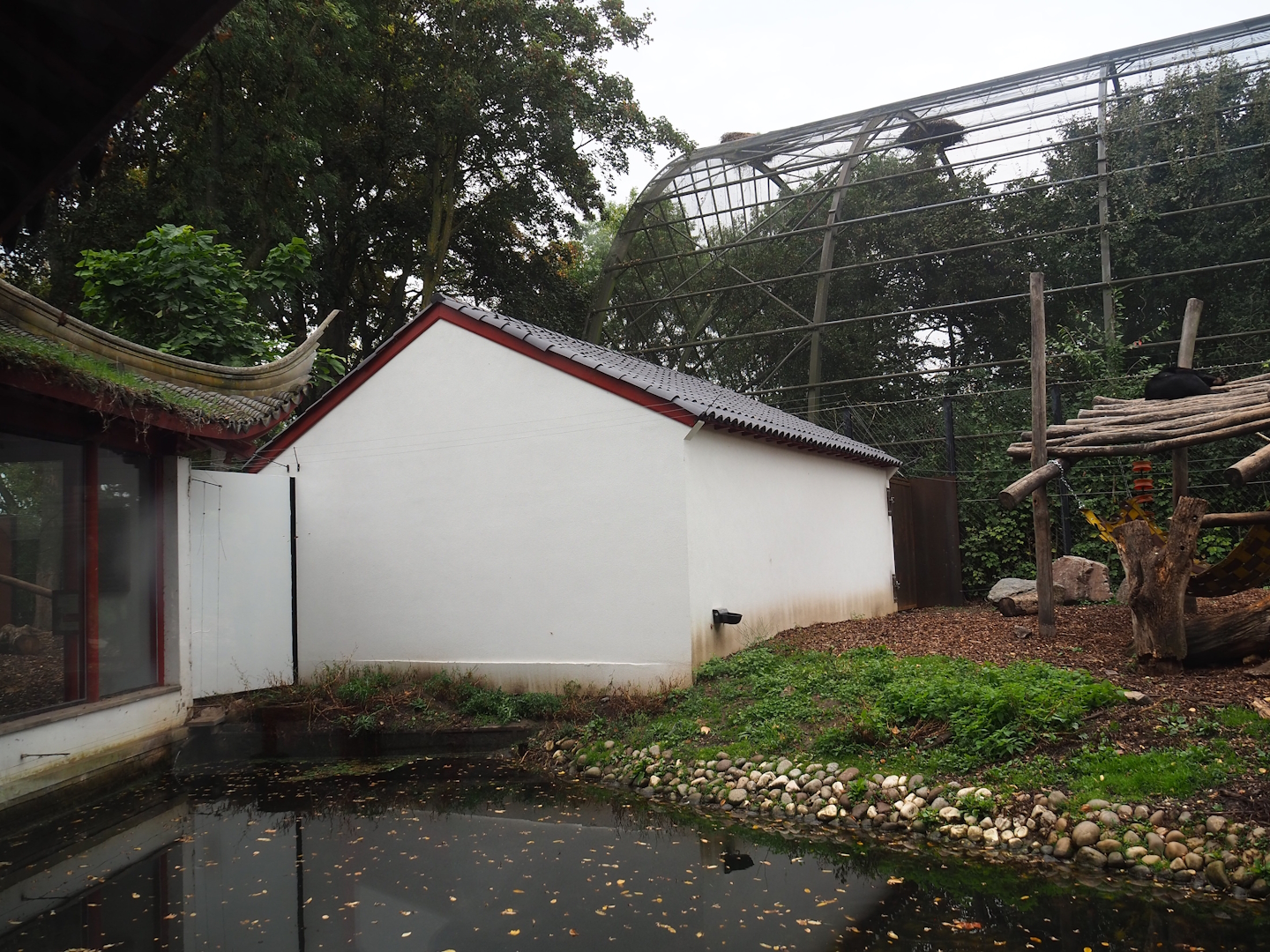 House for Giant panda twins Bao Mei and Bao Di and part of now smaller Asian black bear exhibit, 2023-10-13