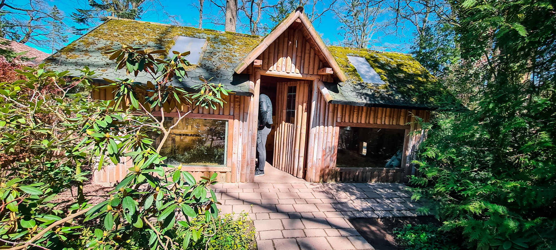 House for porcupines and maras
