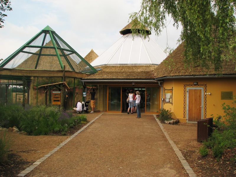 House for pygmy hippo, cheetah and birds