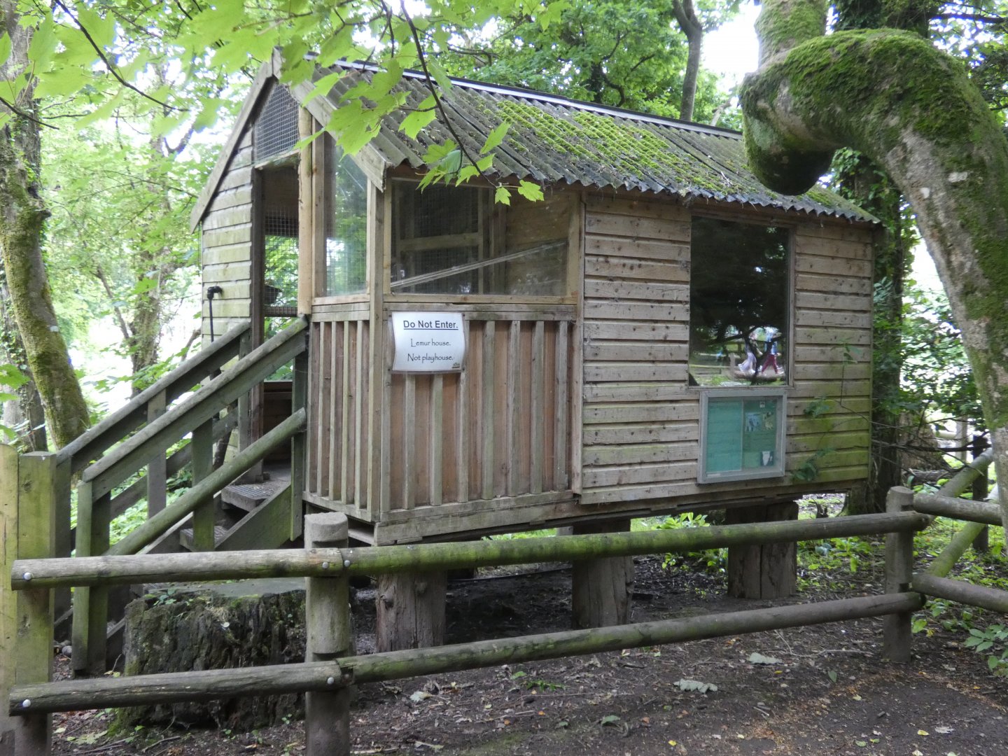House for the free-ranging lemurs