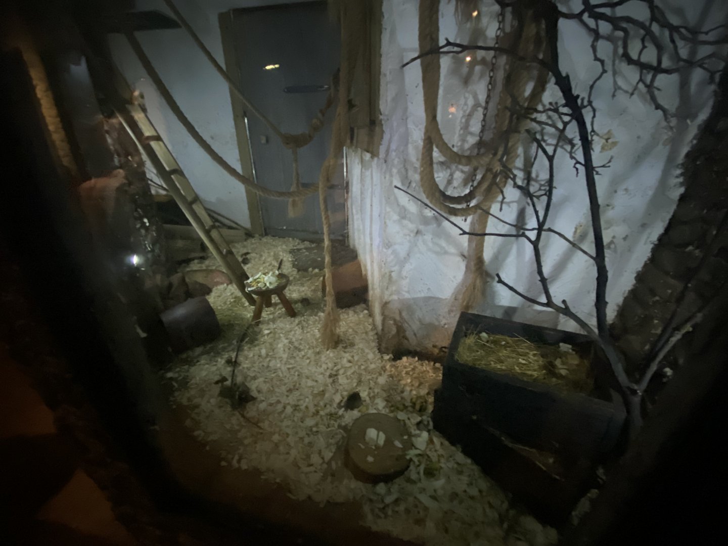 House mice enclosure