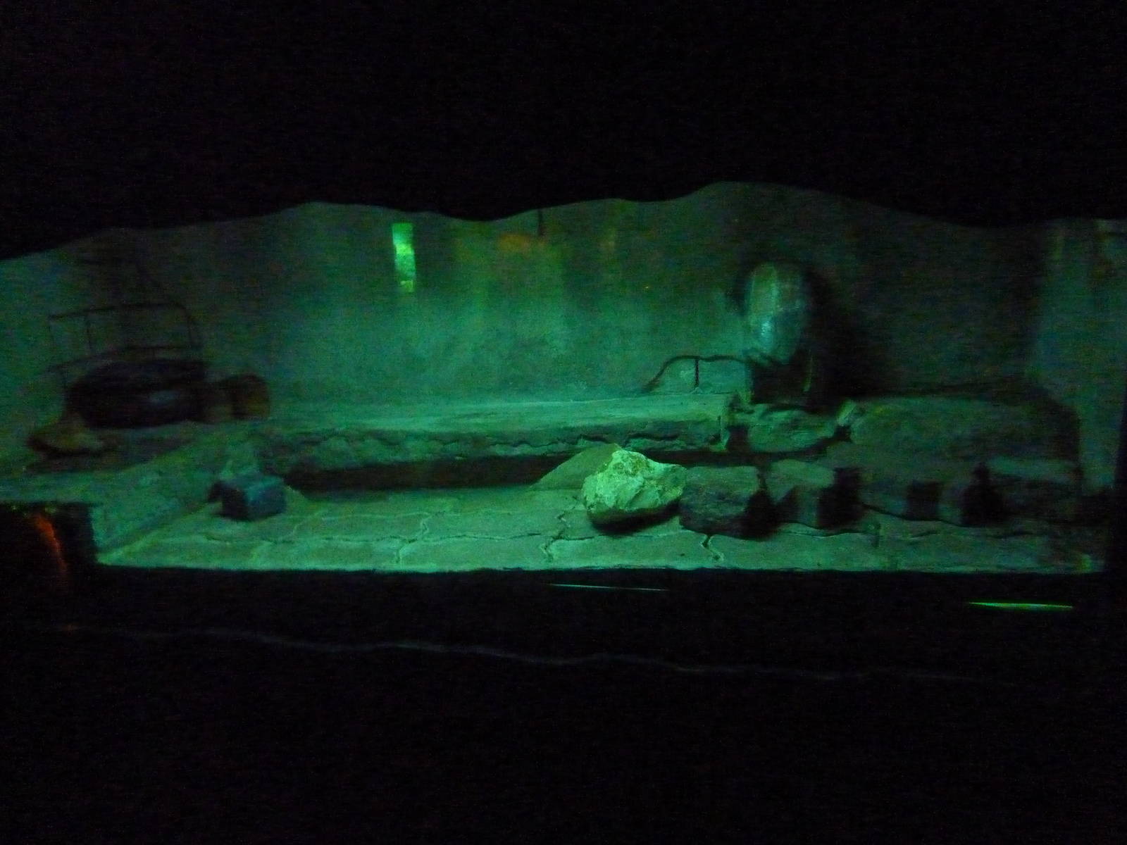 House mouse enclosure, December 2011.