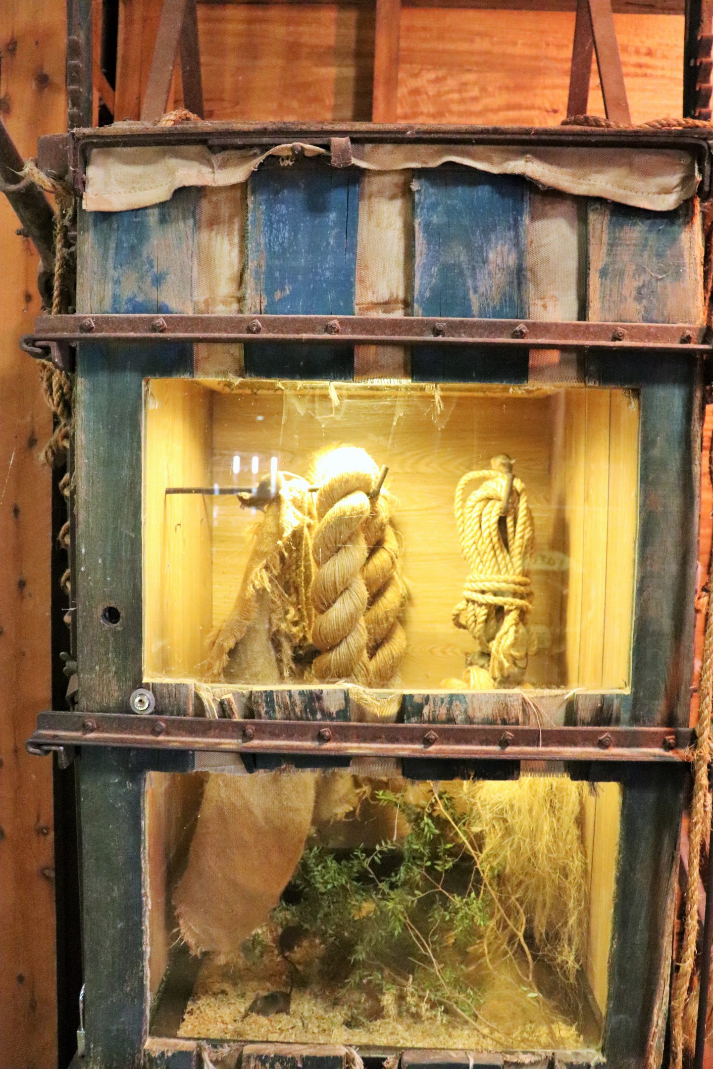 House Mouse Enclosure