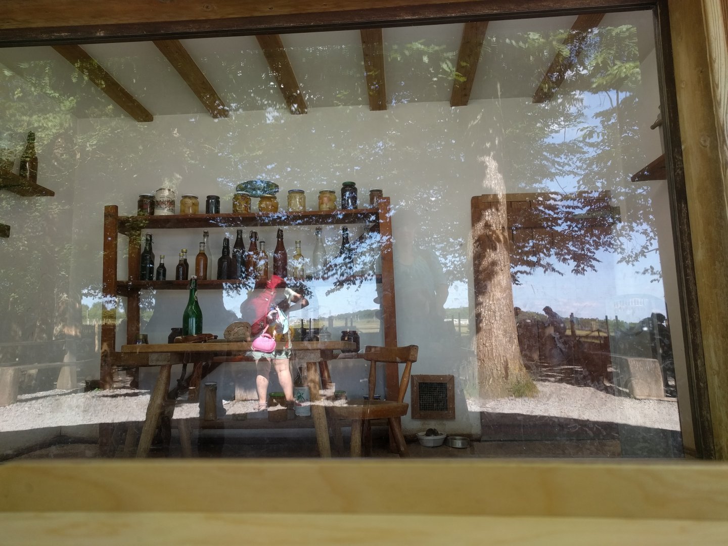 House Mouse Enclosure