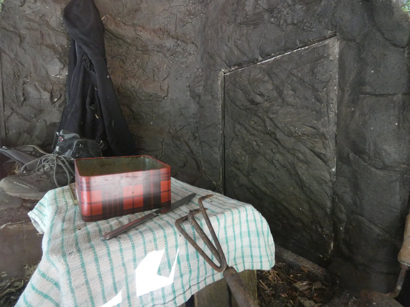 House Mouse enclosure