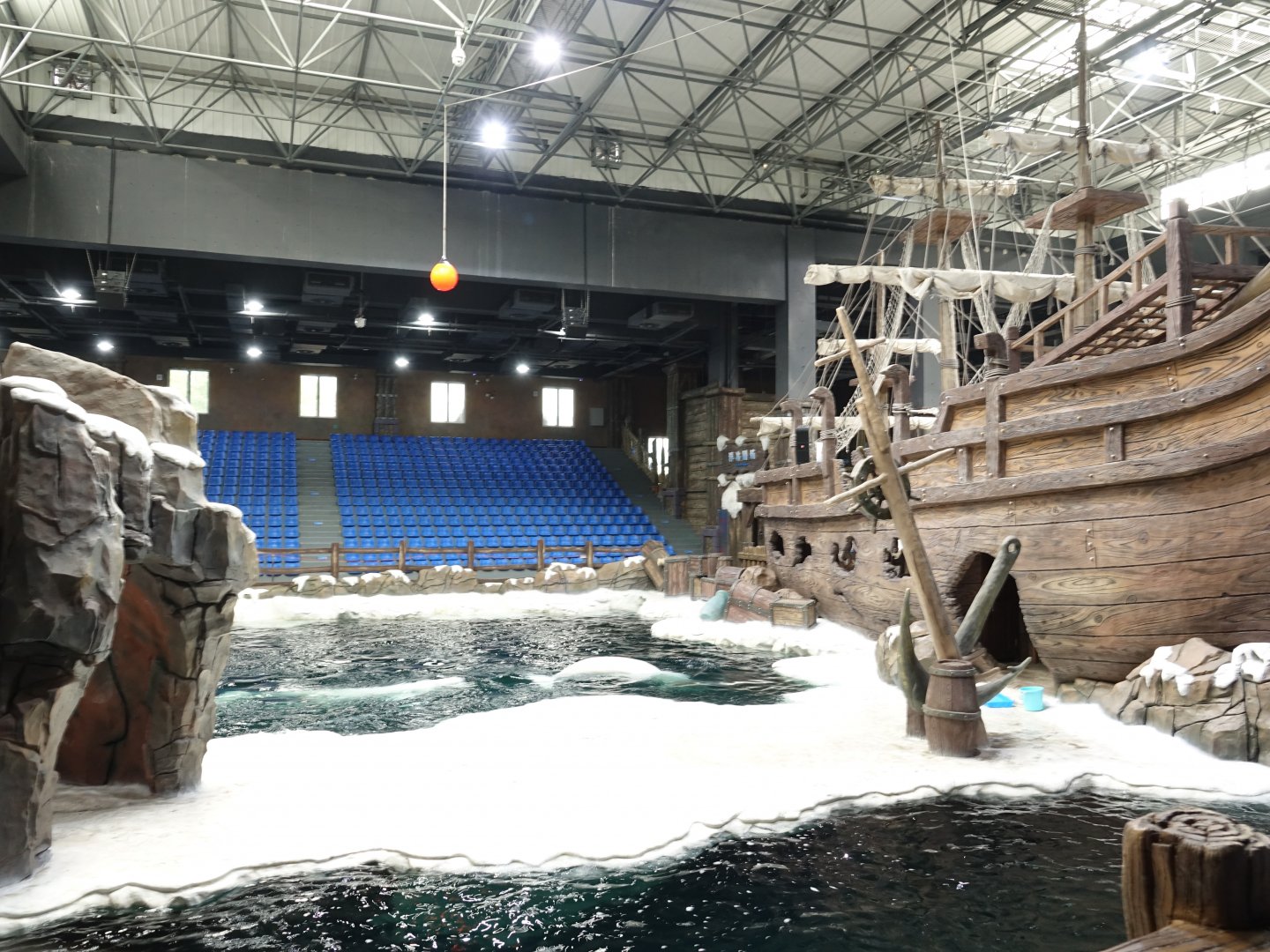 House of belugas (Delphinapterus leucas) - 16.04.2018