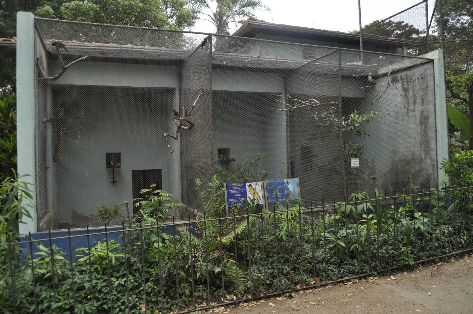 "House of birds", block of small aviairies coupled with a larger non walkable aviary