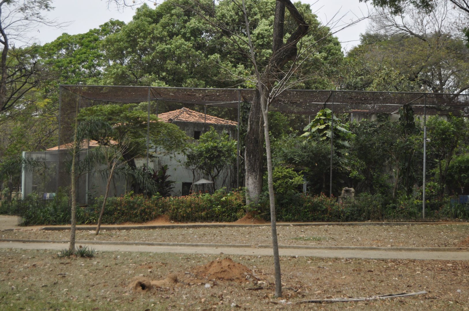 "House of birds", block of small aviairies coupled with a larger non walkable aviary