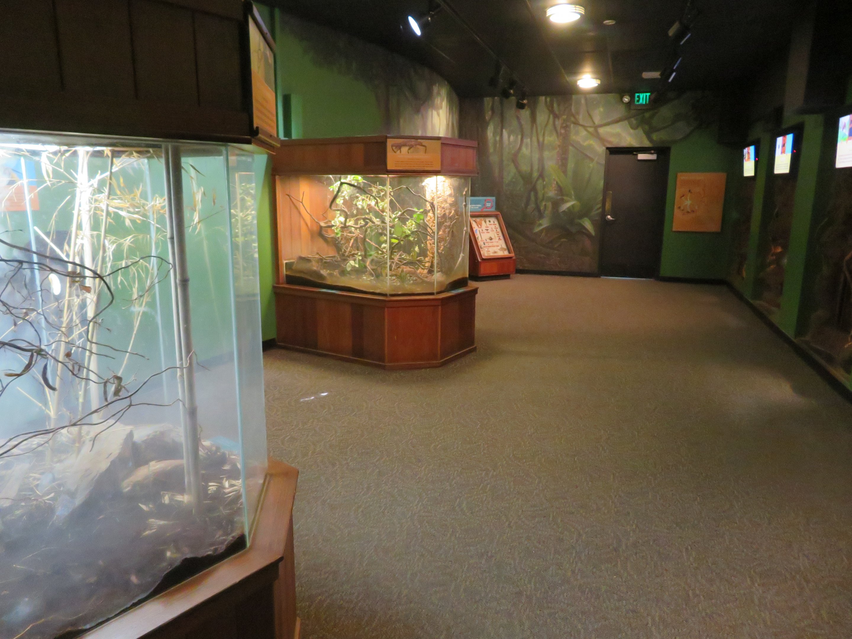 House of Bugs (20 Species)