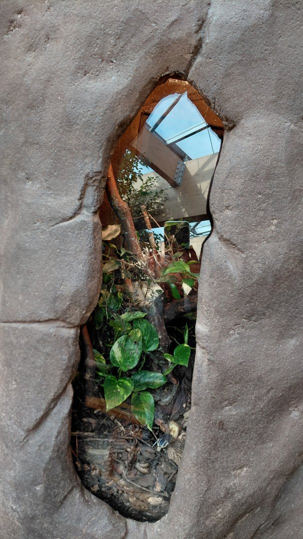 House of Evolution - beetle exhibit