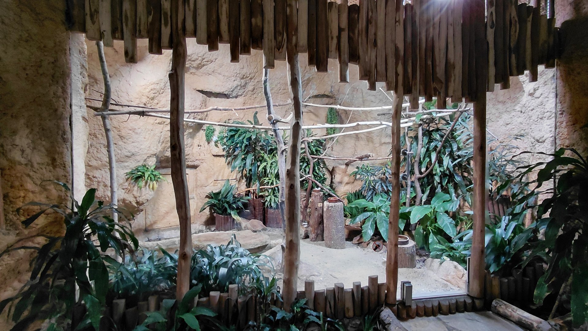 House of Evolution - indoor bird exhibit