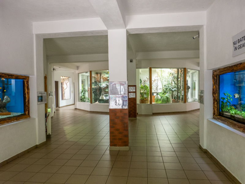 House of fish, reptile, parrots