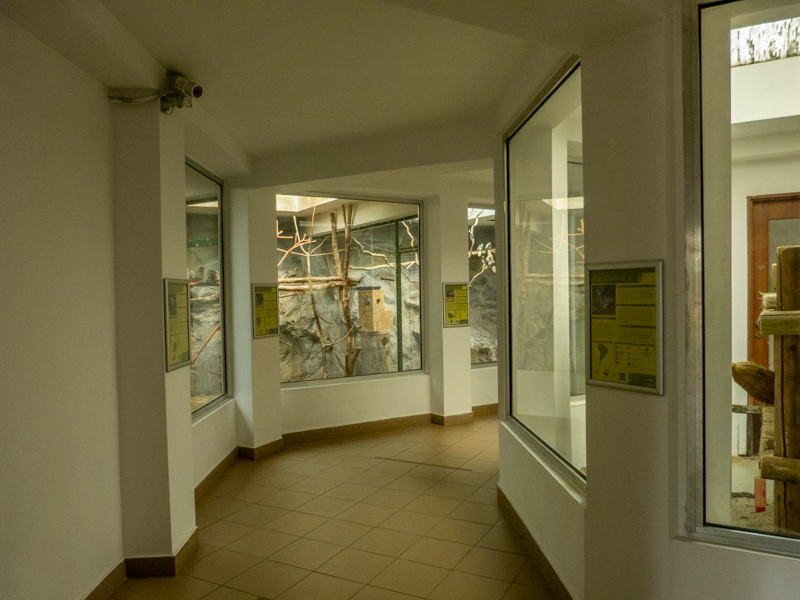 house of monkeys and parrots