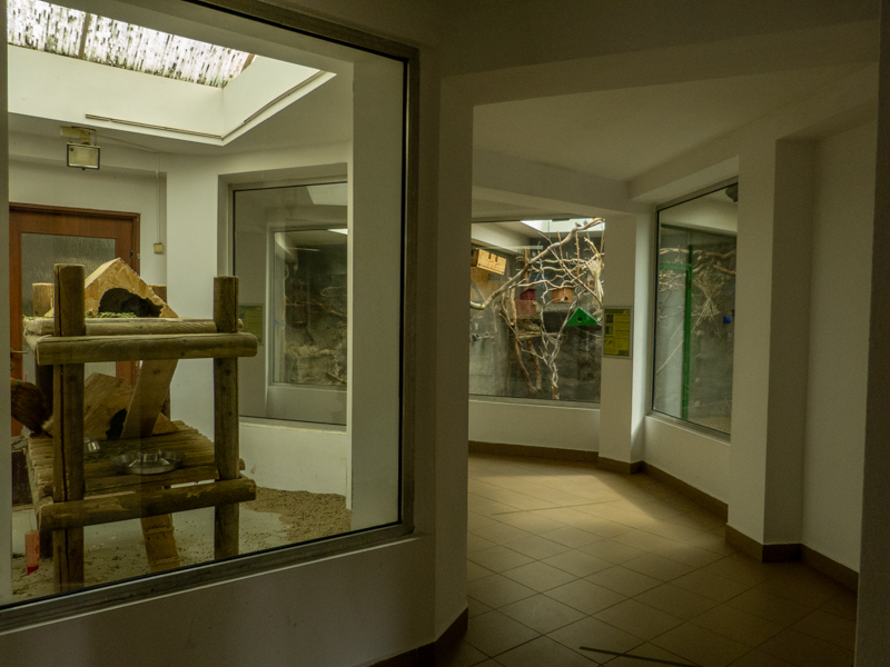 house of monkeys and parrots