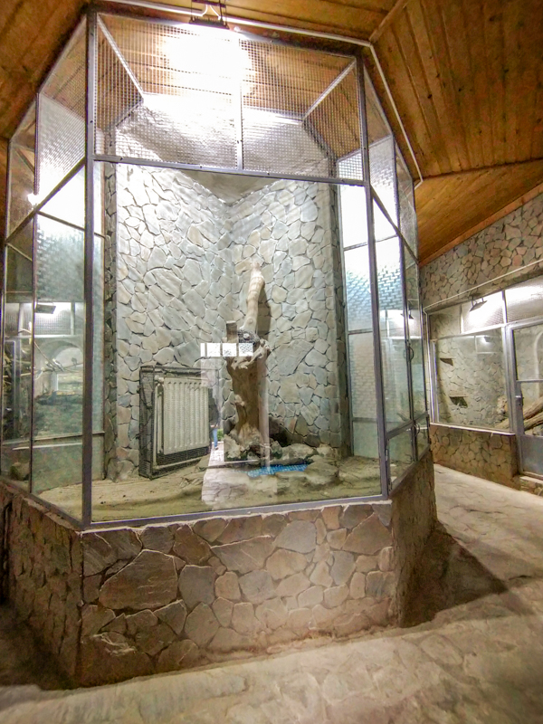 house of reptiles and birds