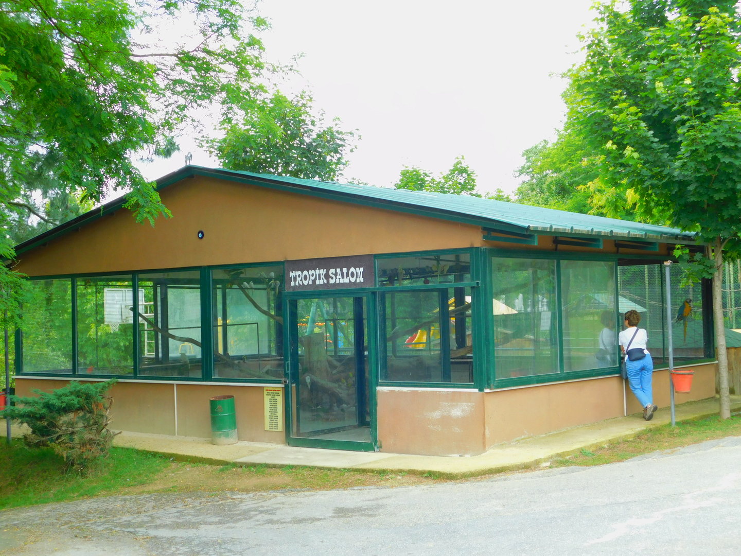 House With Birds In It