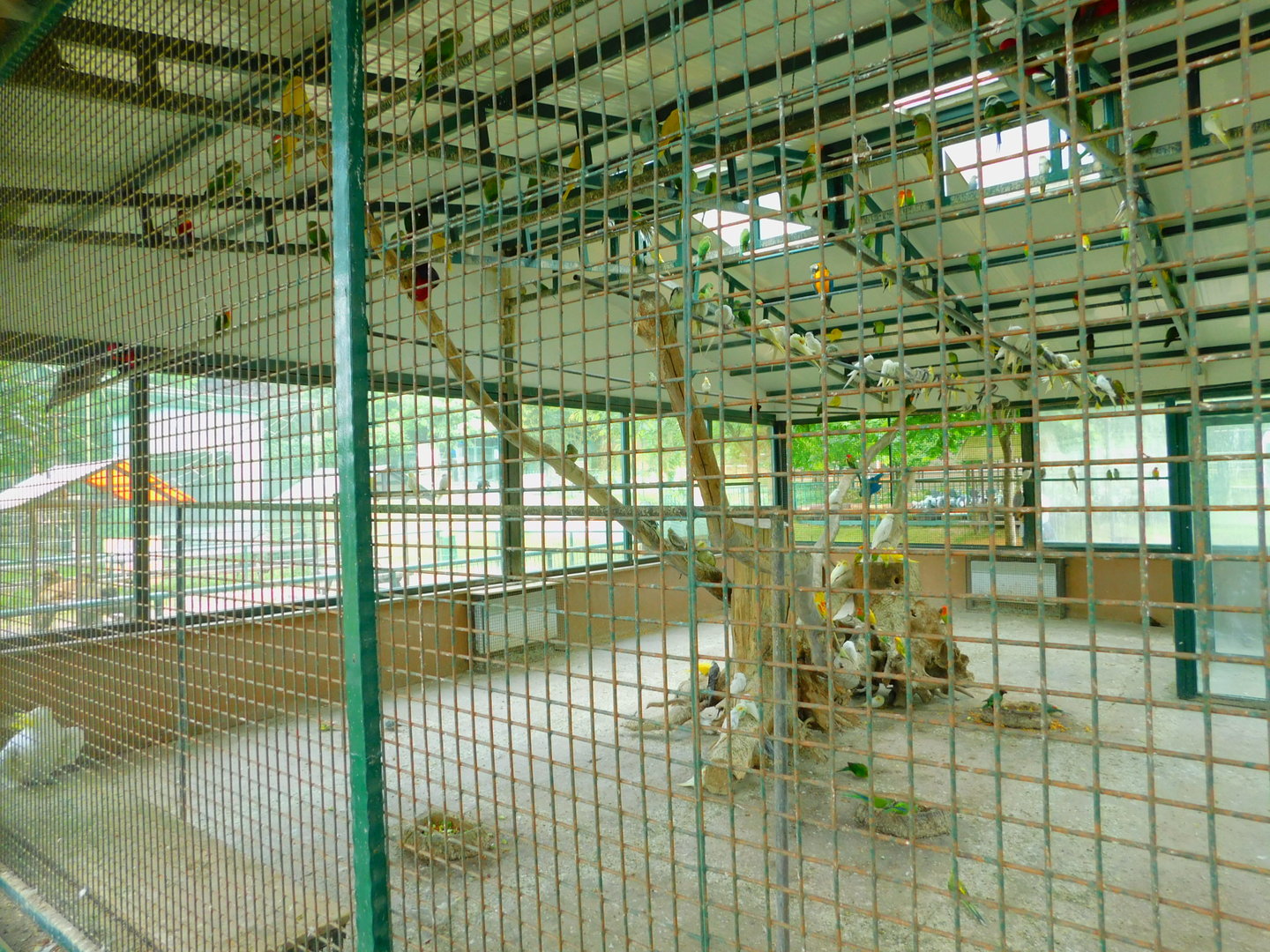 House With Birds In It