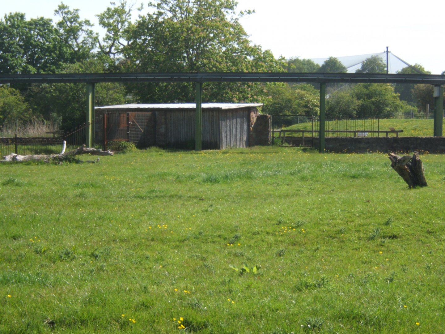 Housing due to disappear when and if grasslands happens 25/05/2019