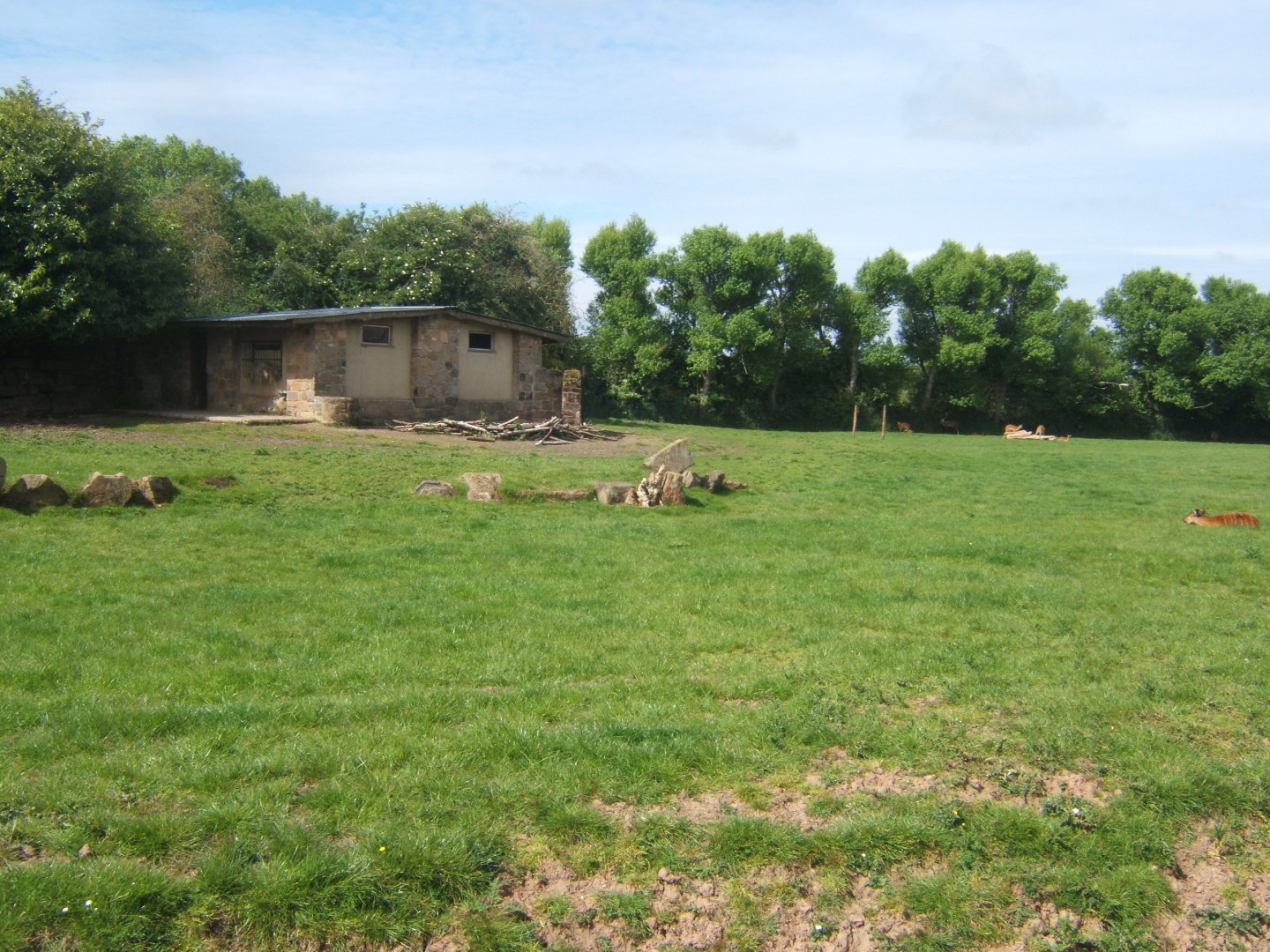 Housing due to disappear when and if grasslands happens 25/05/2019