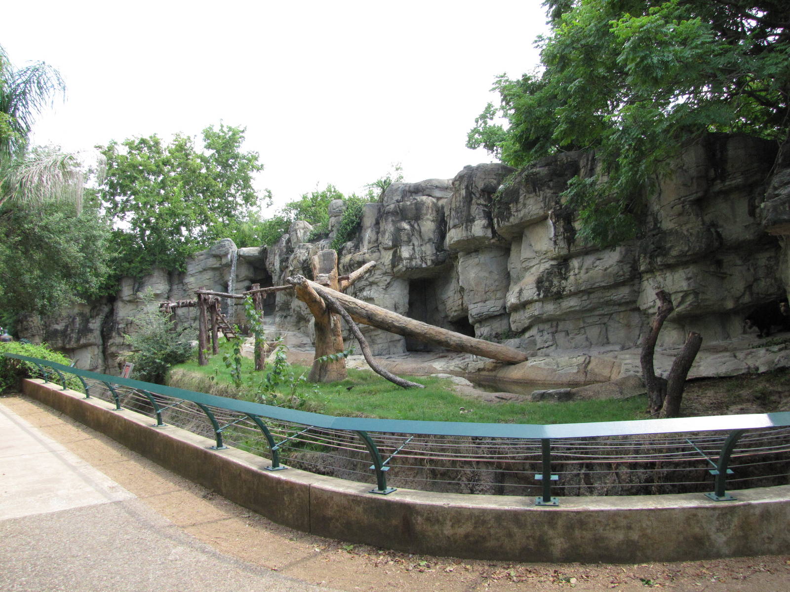 Houston Zoo 2010 - End of the Spectacled Bear exhibit