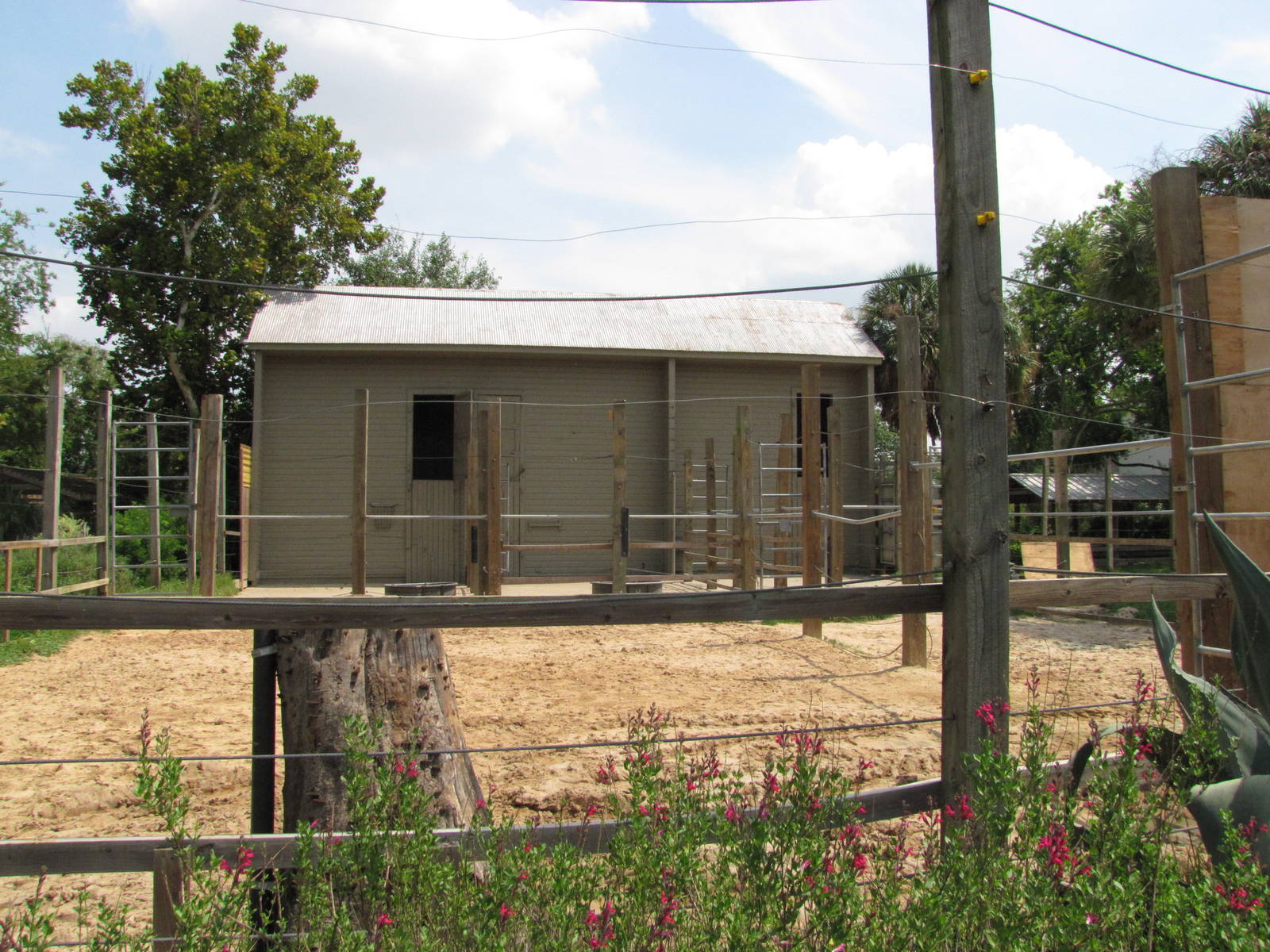 Houston Zoo 2010 - Former Giraffe exhibit
