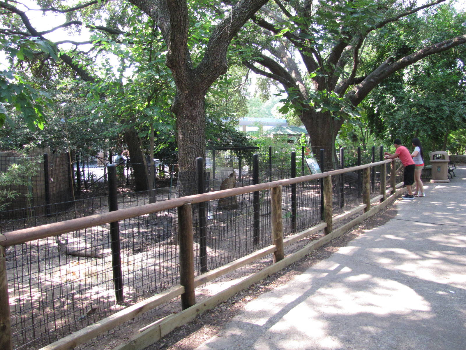 Houston Zoo 2010 - Front of Babirusa exhibit