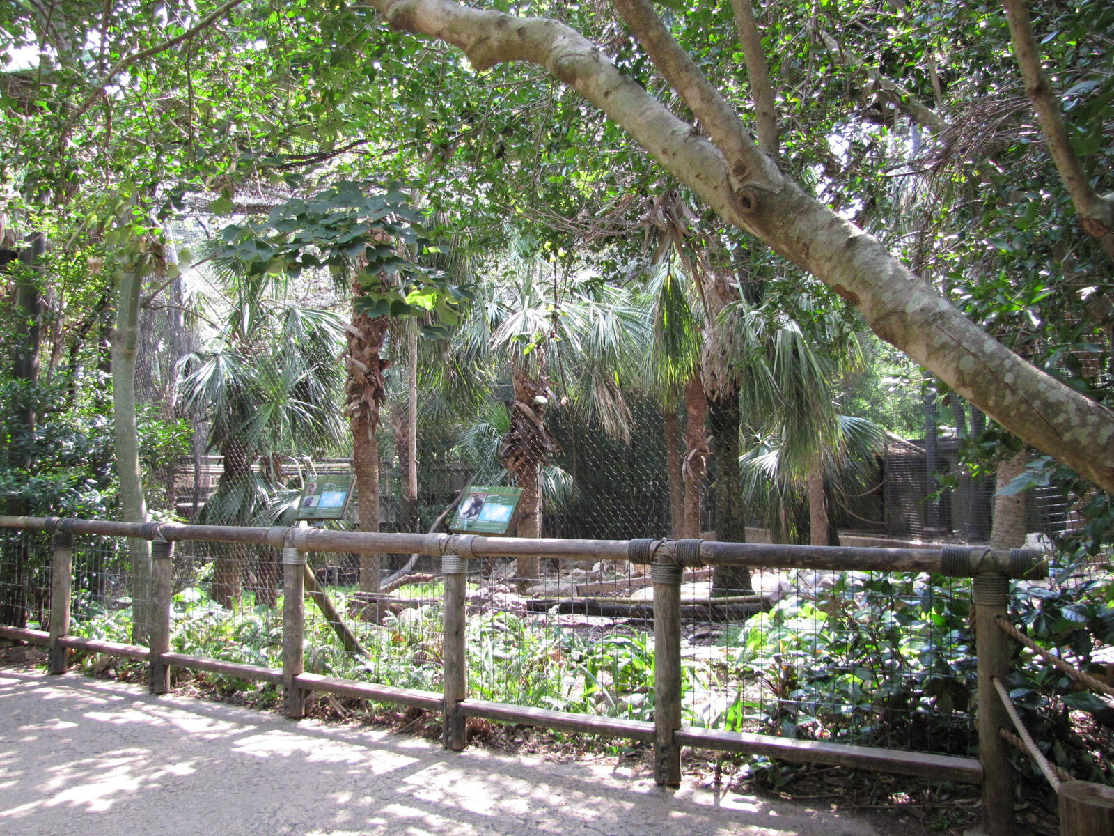 Houston Zoo 2010 - Front of DeBrazza and Mandrill exhibits in Wortham World