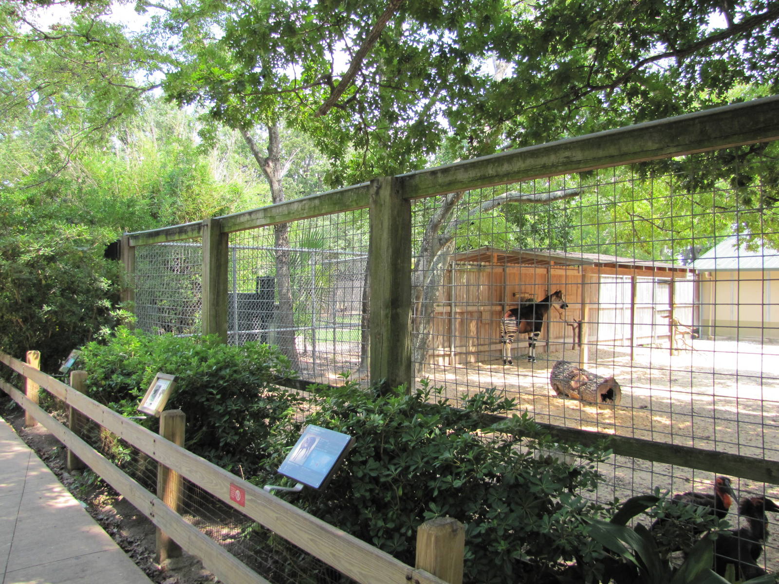 Houston Zoo 2010 - Front of one of the Okapi exhibits