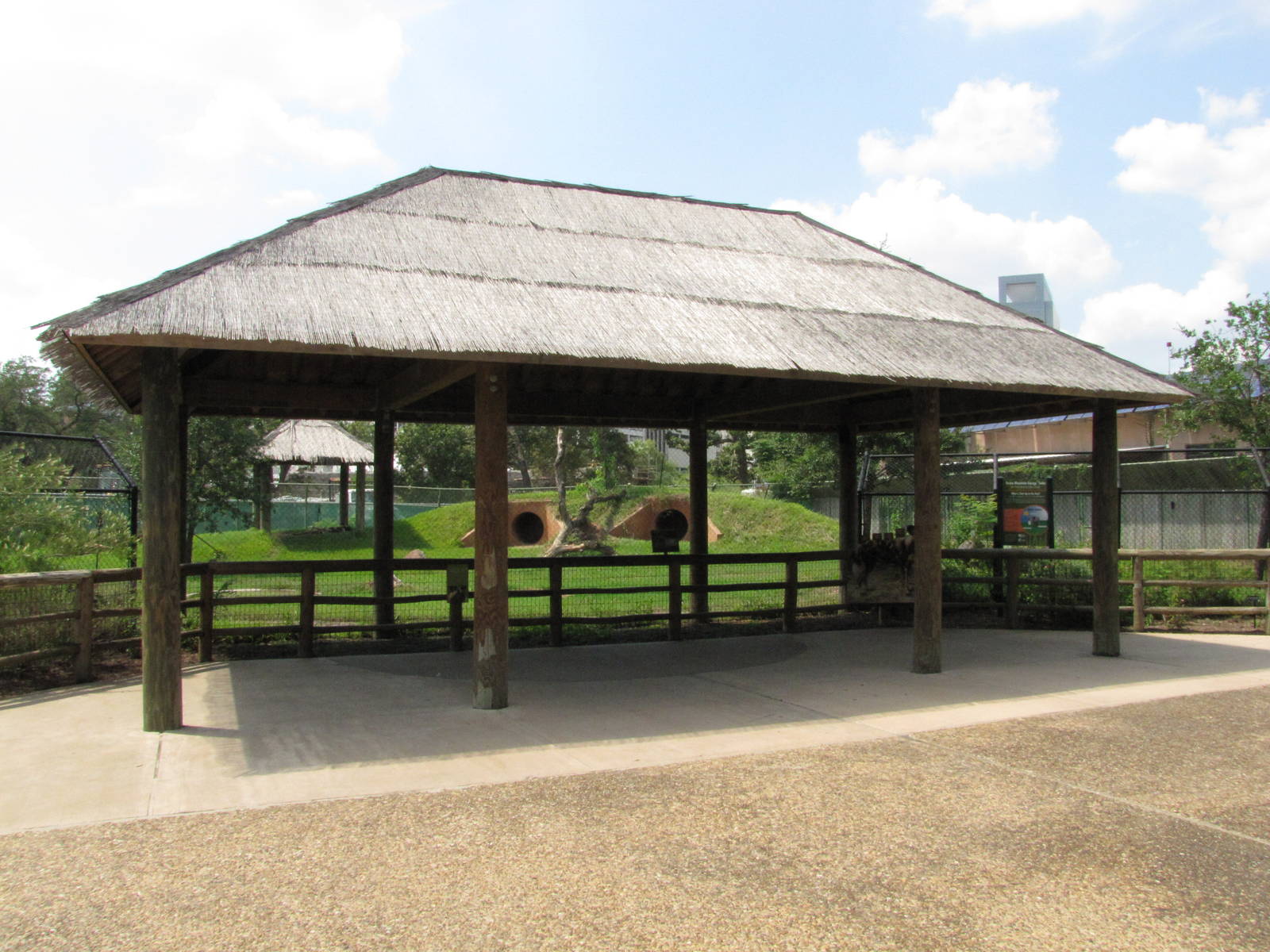 Houston Zoo 2010 - Front of the African Wild Dog exhibit