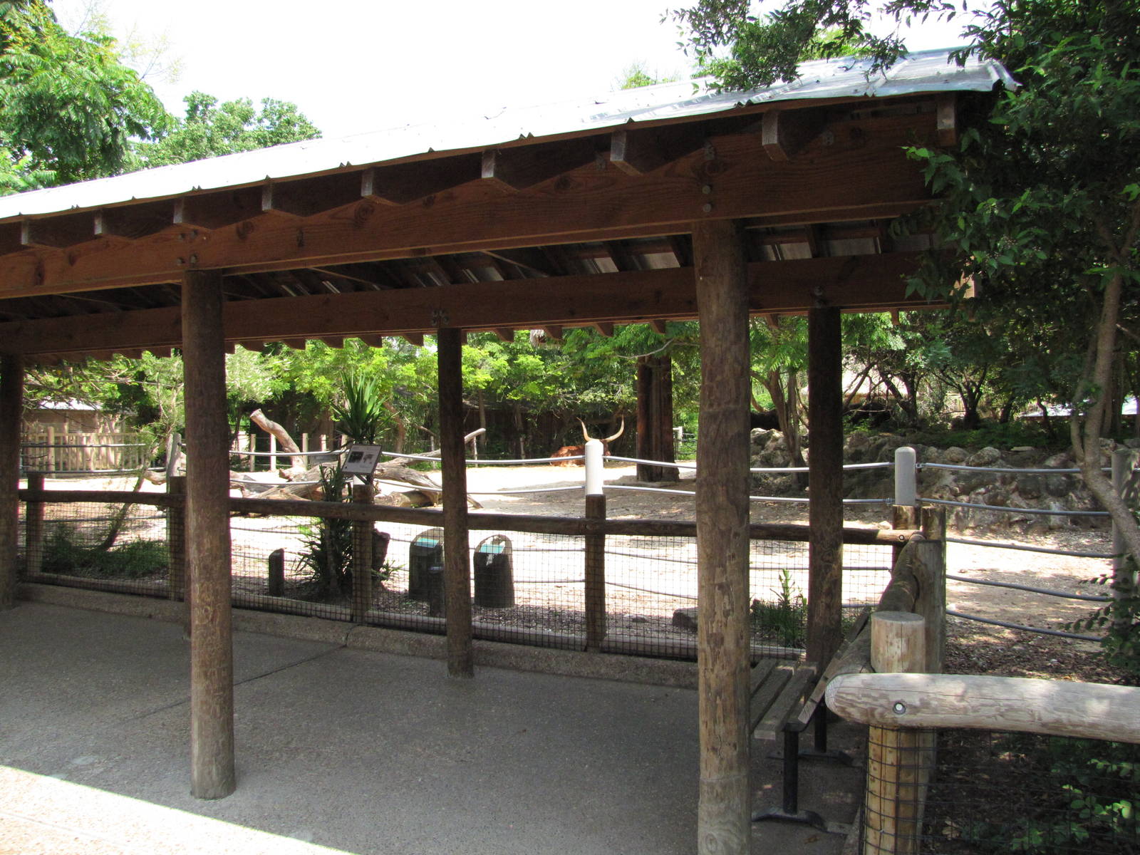Houston Zoo 2010 - Front of the Ankole Cattle exhibit