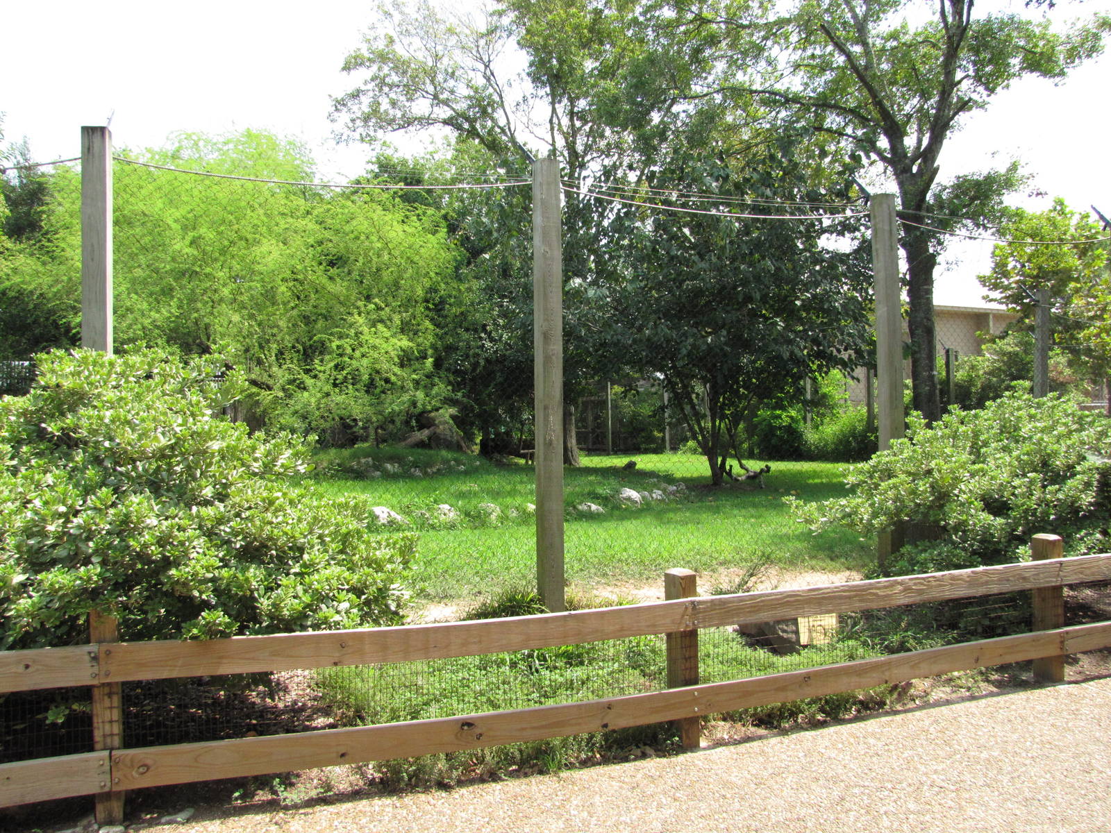 Houston Zoo 2010 - Front of the Cheetah exhibit