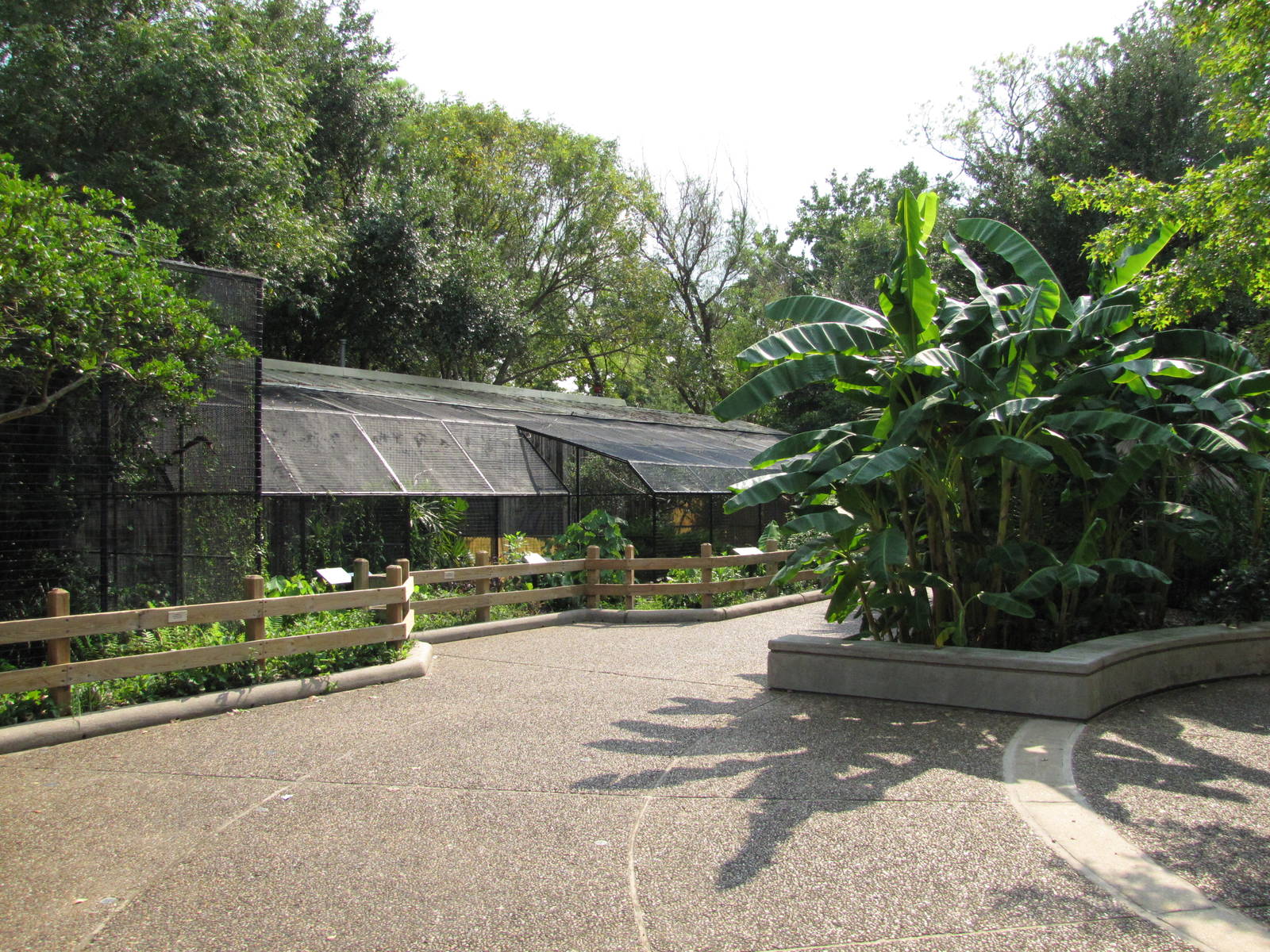 Houston Zoo 2010 - General view in the Fischer Bird Garden