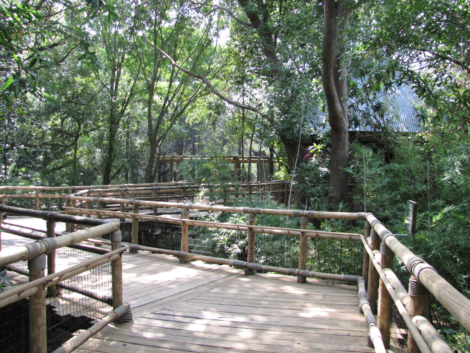 Houston Zoo 2010 - General view in Wortham World of Primates