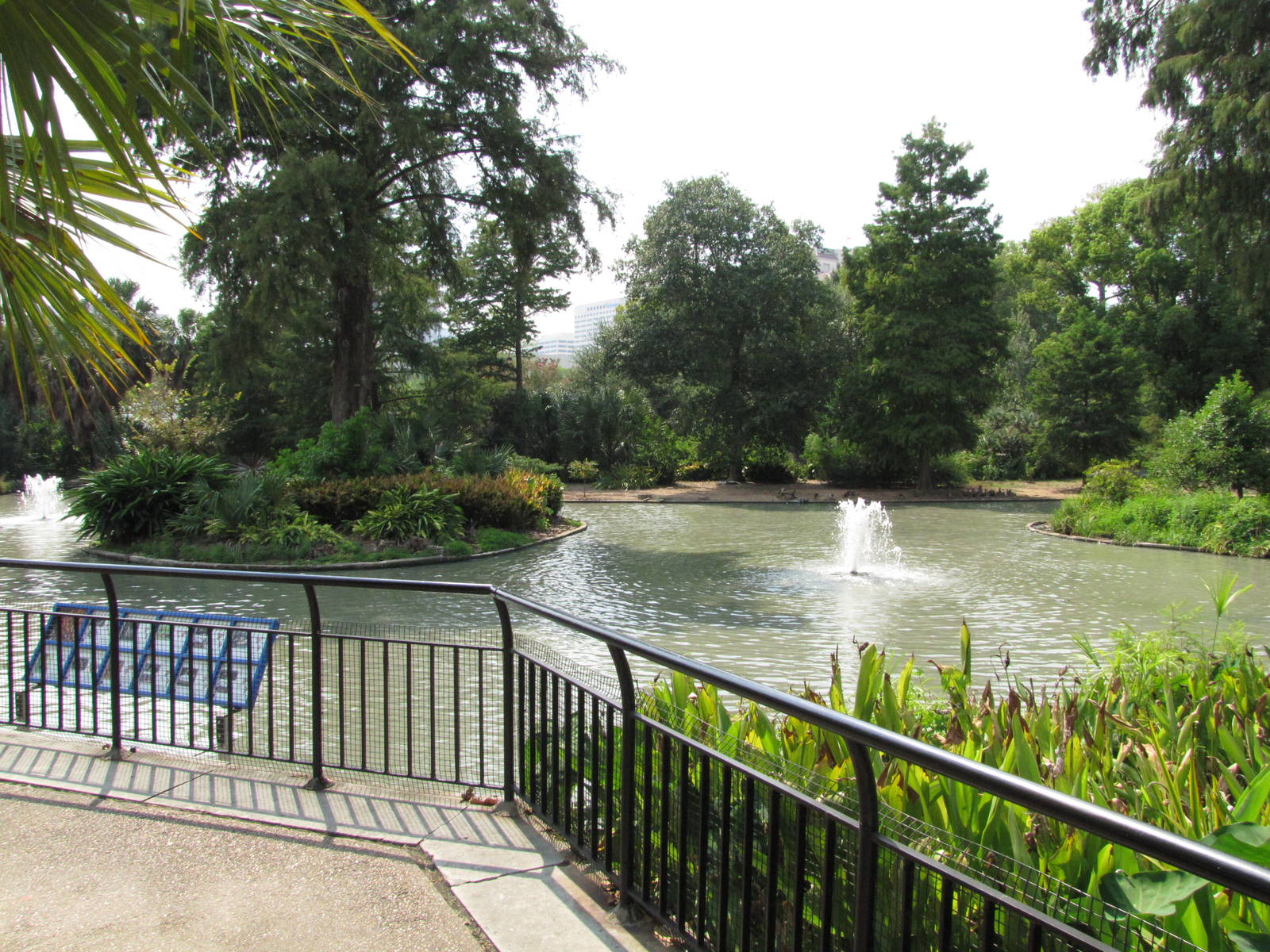 Houston Zoo 2010 - General view of a pond