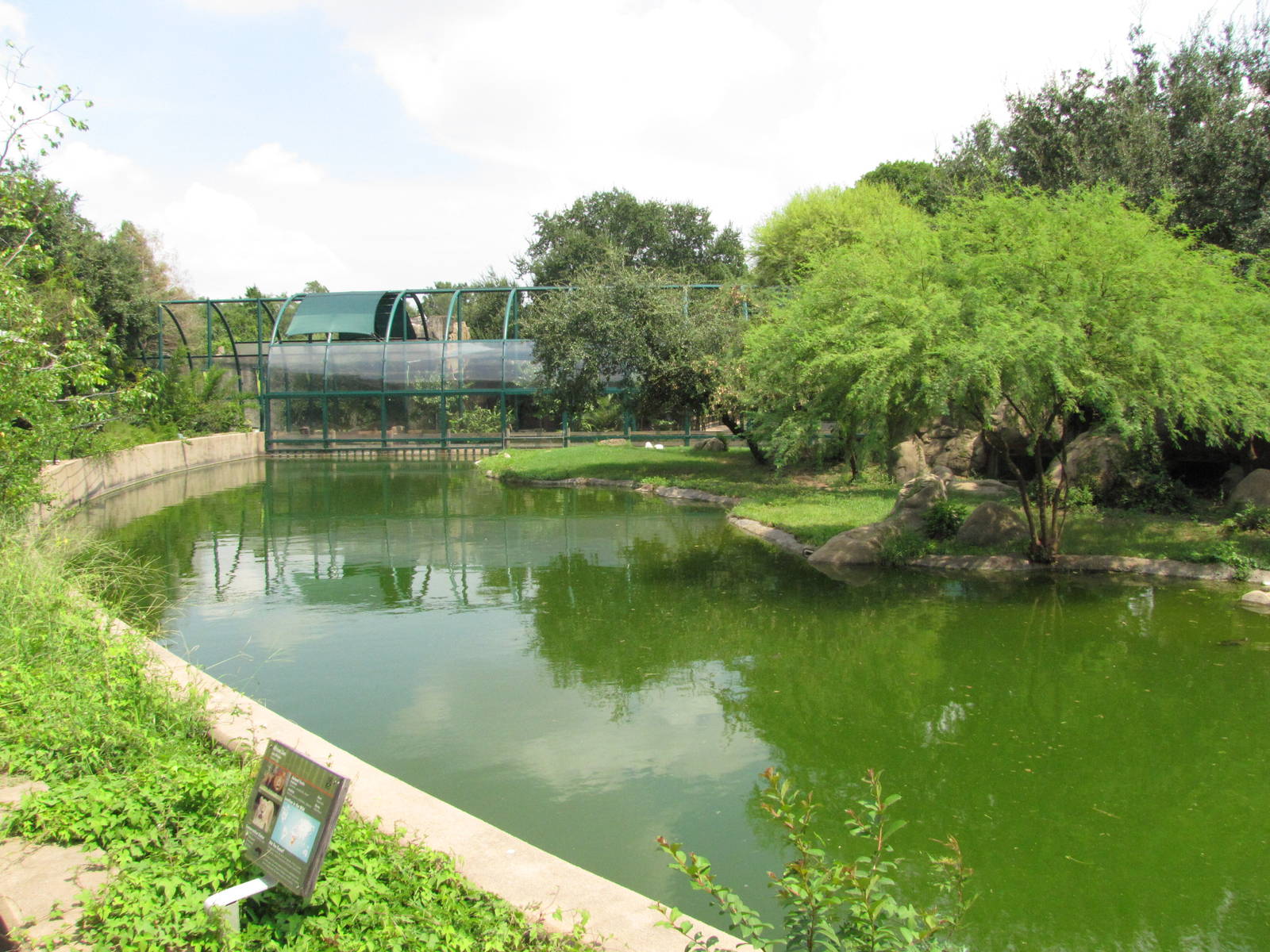 Houston Zoo 2010 - Left side of the very fine African Lion exhibit