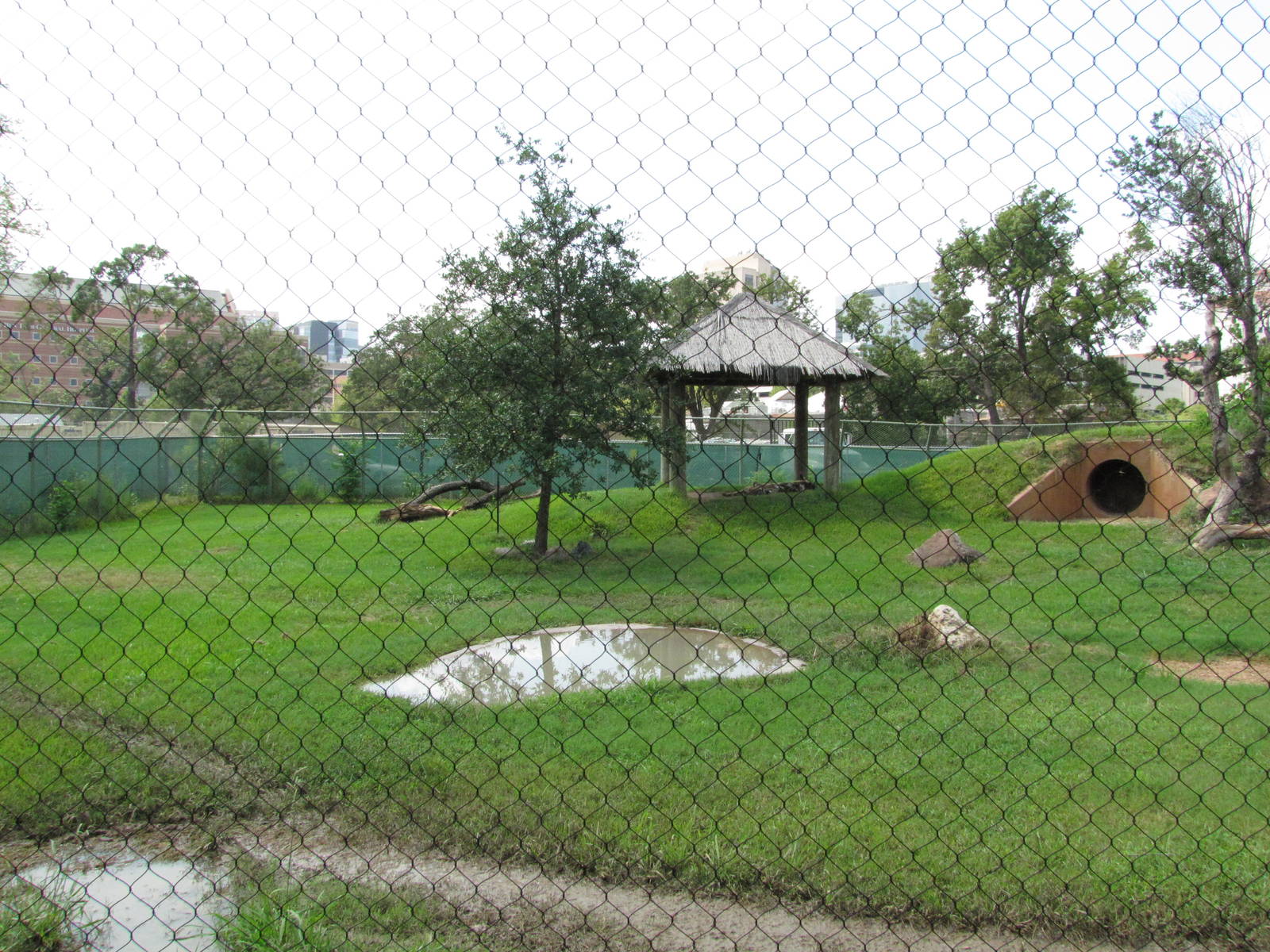 Houston Zoo 2010 - Part of the African Wild Dog exhibit