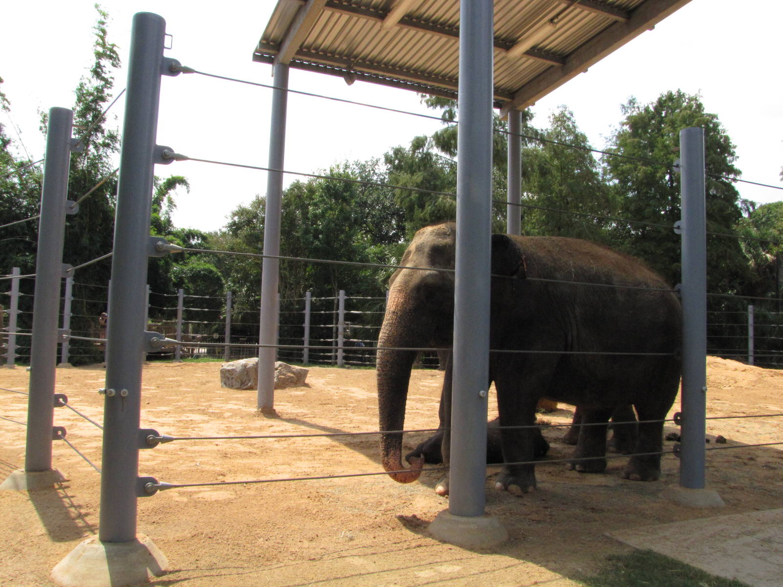 Houston Zoo 2010 - Part of the Asiatic elephant complex