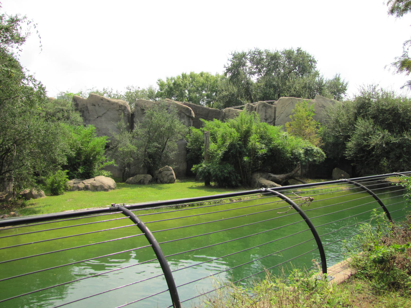 Houston Zoo 2010 - Part of the Malayan Tiger exhibit