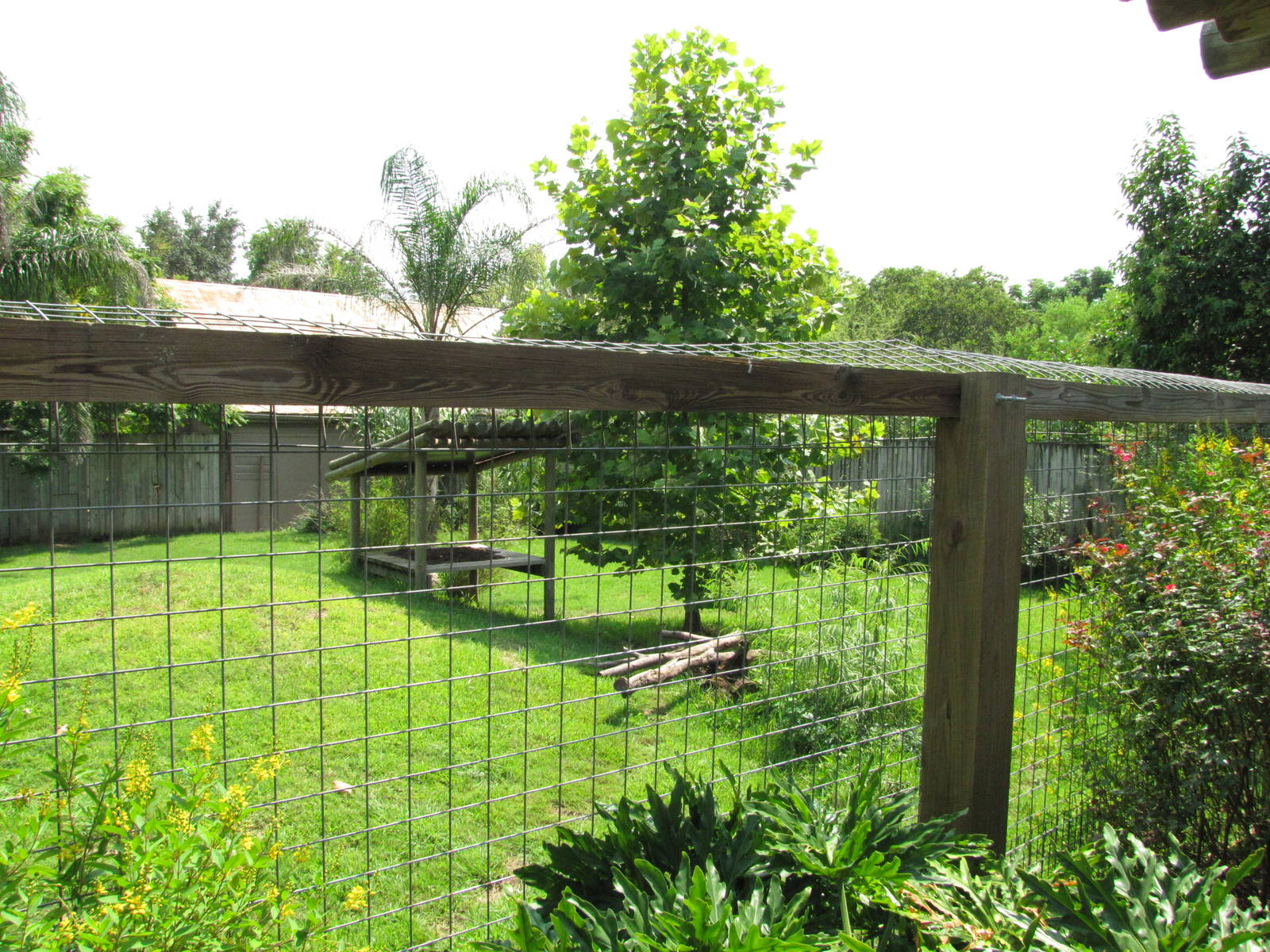 Houston Zoo 2010 - Part of the Maned Wolf exhibit