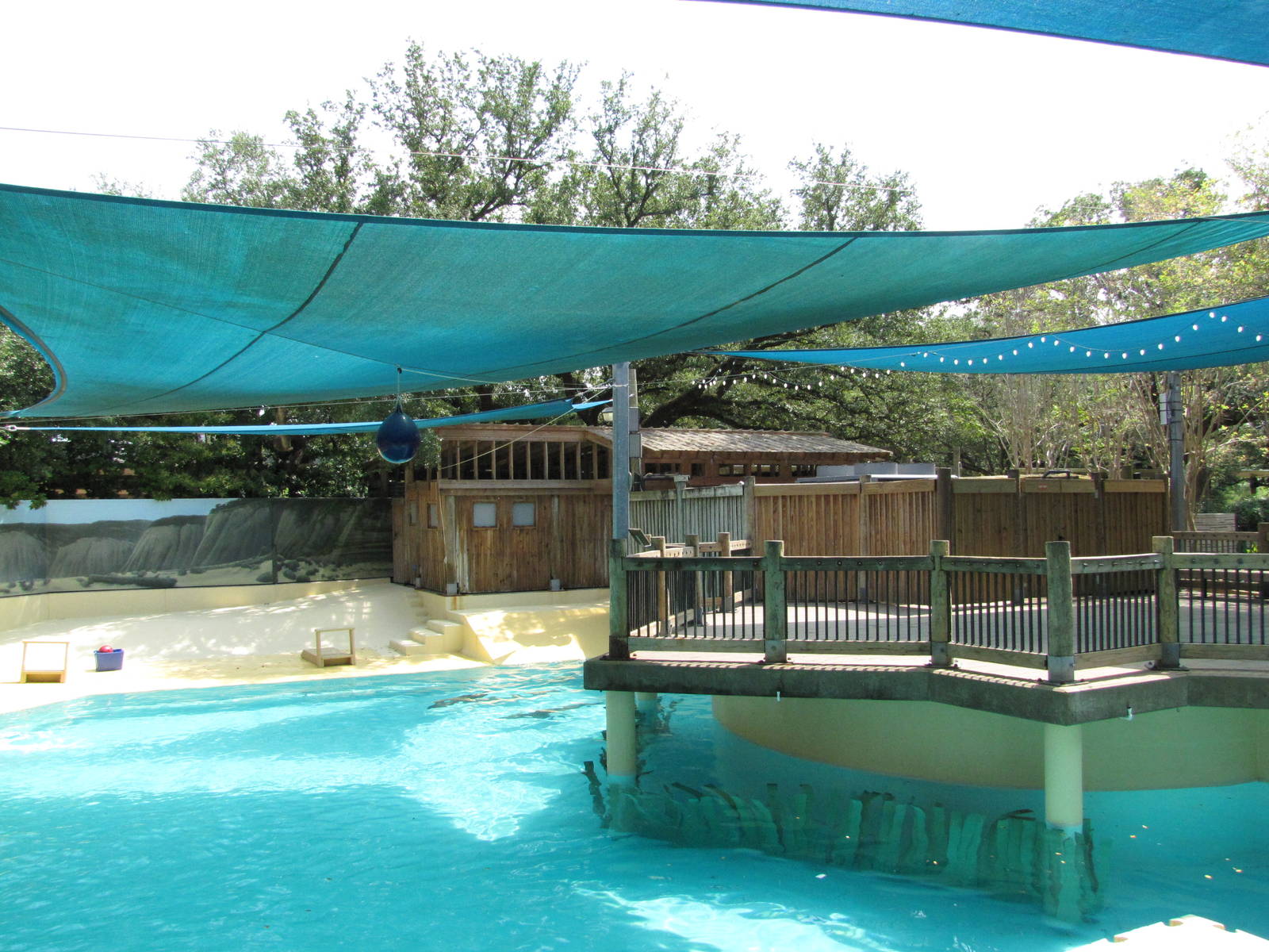Houston Zoo 2010 - Right part of the California Sea Lion pool