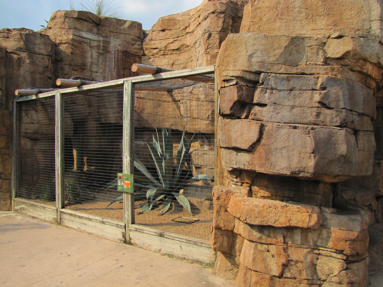 Houston Zoo 2010 - Roadrunner exhibit in the McGovern Childrens Zoo
