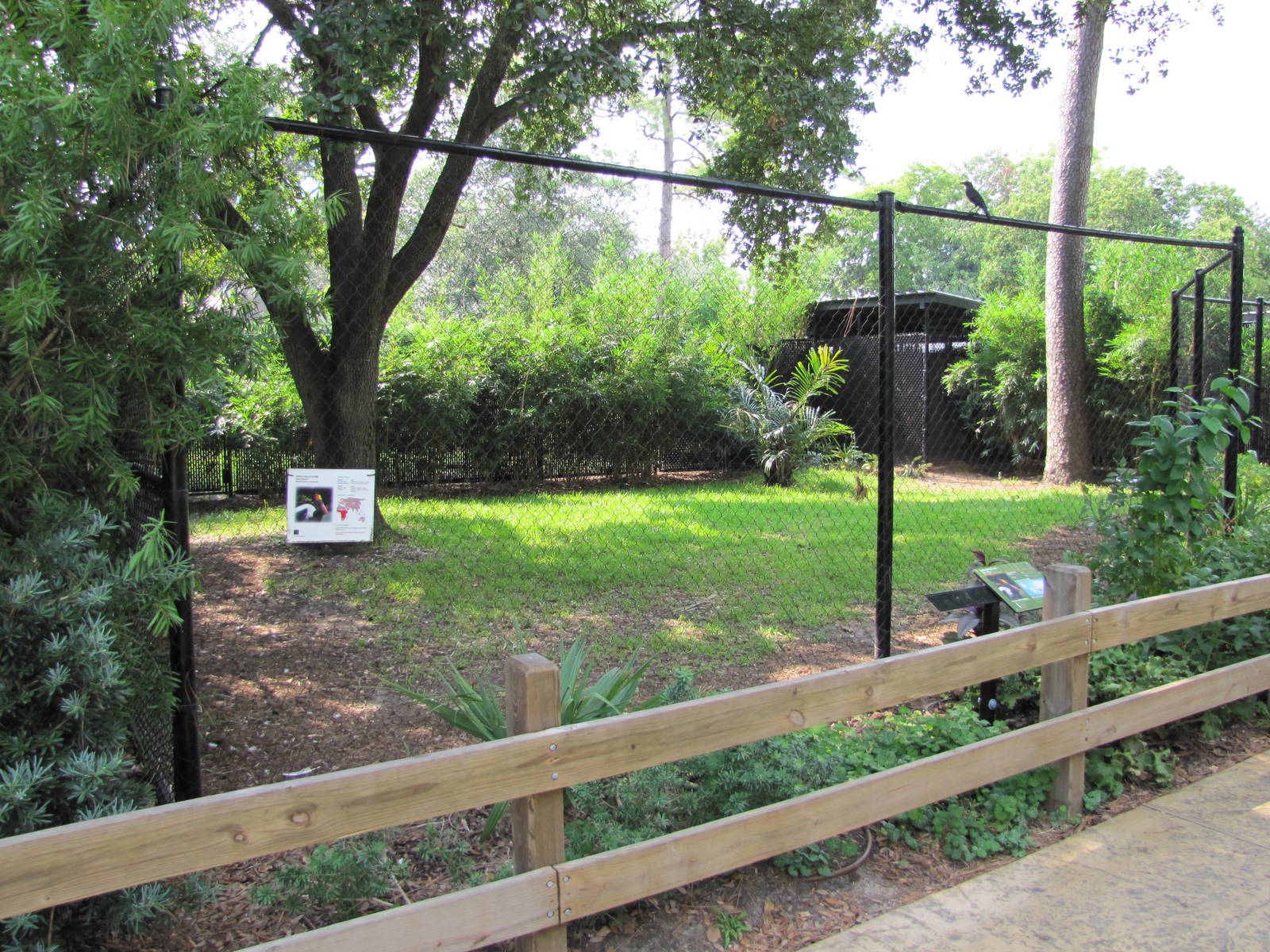 Houston Zoo 2010 - Saddle-billed Stork enclosure in the Fischer Bird Garden