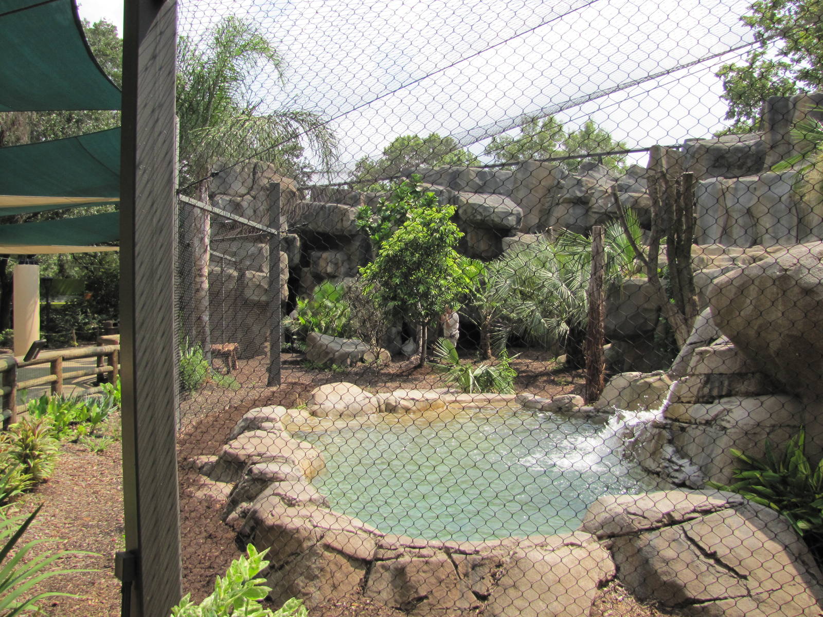 Houston Zoo 2010 - Side-view of the Jaguar exhibit