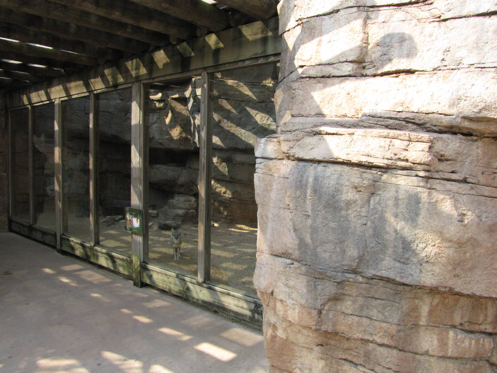 Houston Zoo 2010 - Swift Fox exhibit in the McGovern Childrens Zoo