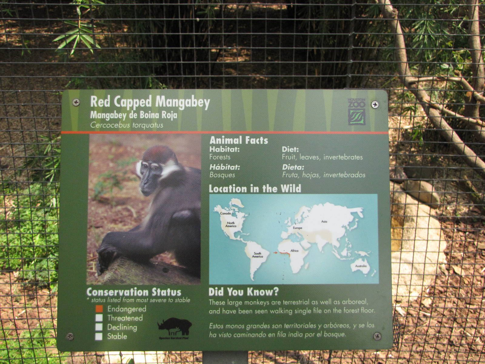 Houston Zoo 2010 - Wortham World of Primates signage example