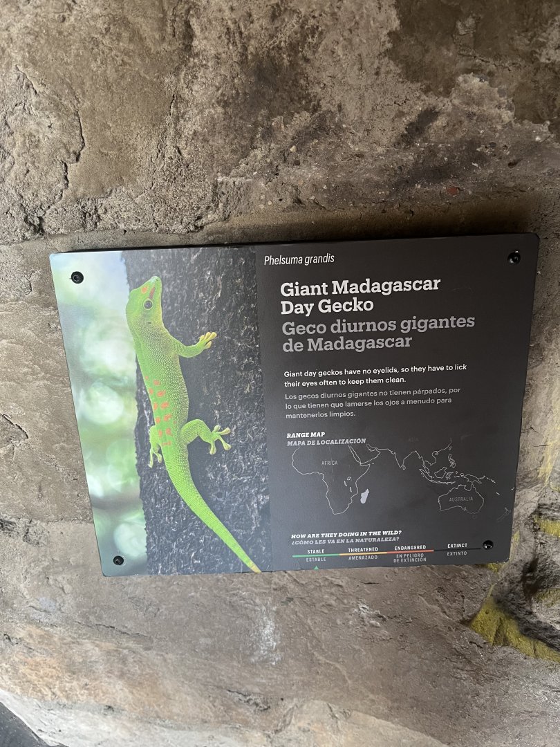 Houston Zoo Children’s Zoo cave